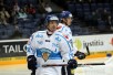 t_kapanenniko2010