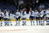 t_suomileijonat2010c