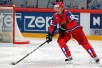 getty_zherdevnikolai20130106