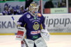 ii_vehanenpetri2013