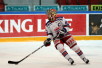 ii_virtanenantti2013b