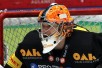 t_backlundjohan_2012b