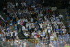 t_yleiskuvaleijonatyleiso_2013a