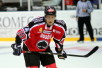 ii_hagmanniklas2013e