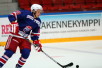 ii_hakulinenanrei2013