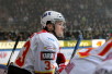 t_kousamikko2013