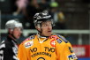 t_vahalahtiville2013