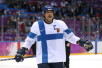 getty_leijonatsuomiusaselanneteemu20140222g