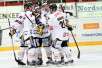 ii_kärpätjuhlii2013b