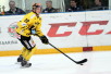 ii_tavijanne2013