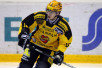 t_riekkinenjoonaskalpa_20082009