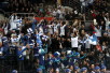 ii_leijonatfanit2014