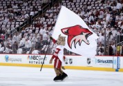 getty_phoenix_coyotes2011a