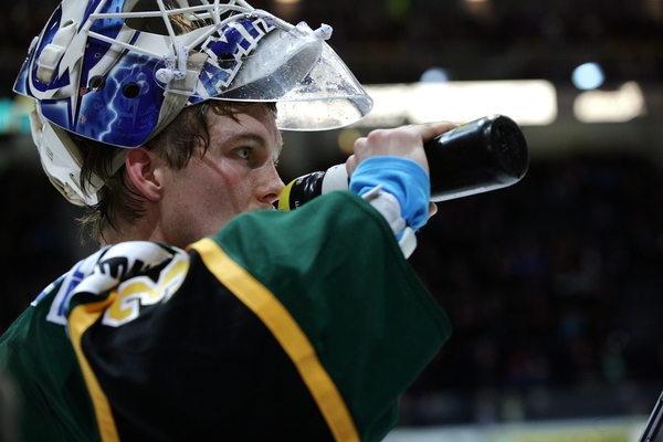 t_lindbackanders2013