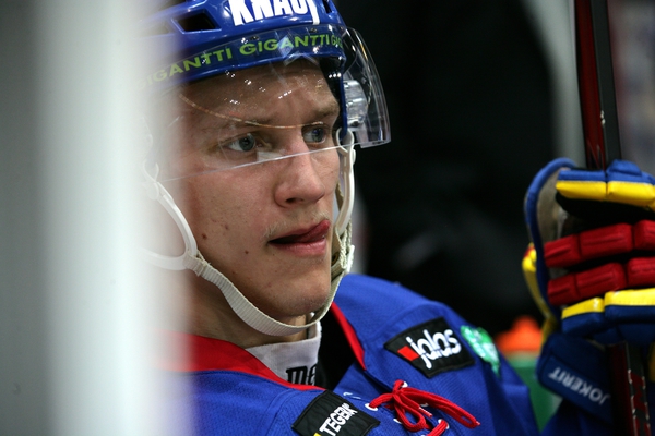 t_pulkkinenteemu2013