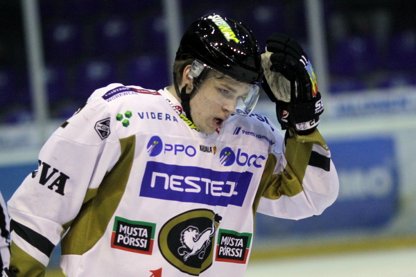 ii_salomakimiikka2013