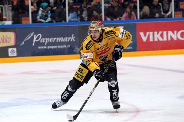t_salminensakari_2010a
