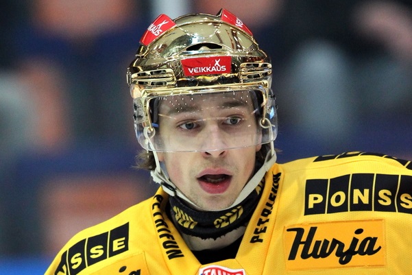 t_salminensakari_2013a