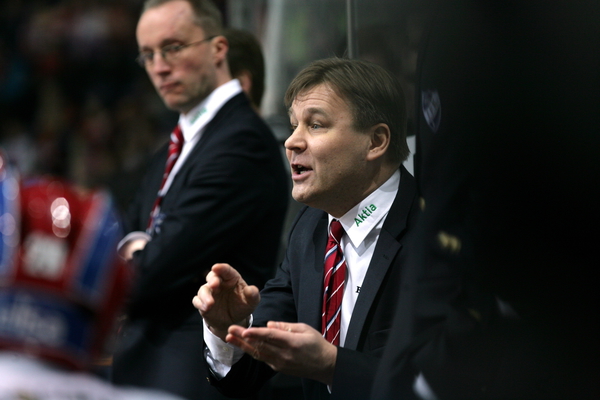 t_summanenraimo_2013g