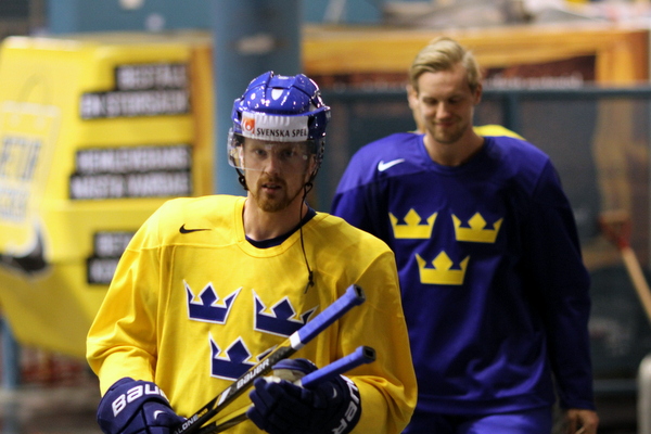 ii_sedin2013