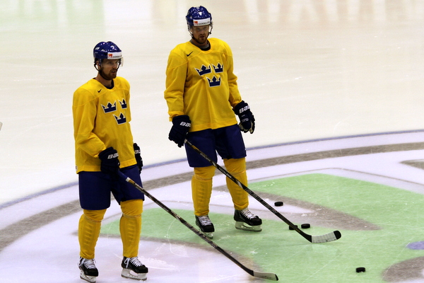 ii_sedin2013h