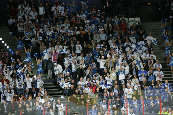 t_yleiskuvaleijonatyleiso_2013a
