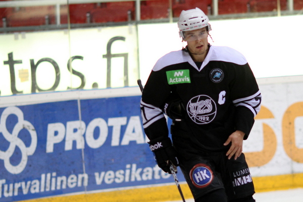 ii_laaksoteemu2013