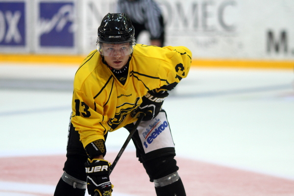 ii_mankinenjesse2013