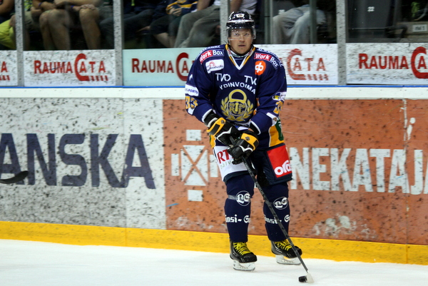 ii_nummelinpetteri2013b