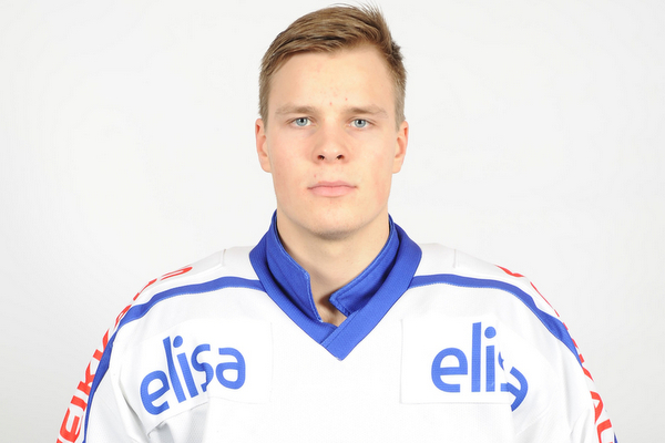 l_lehtonenmikko2013
