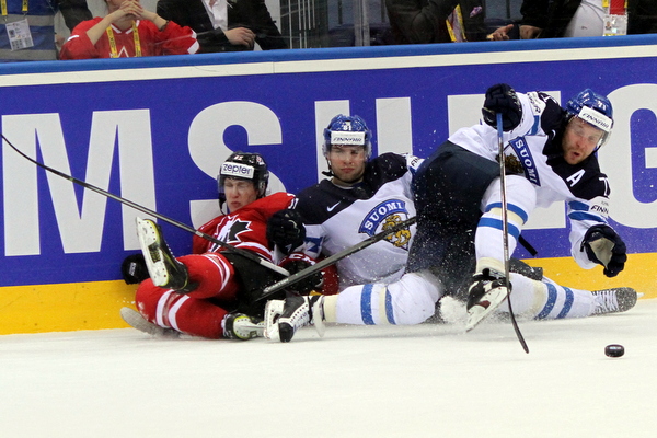 ii_kanadaleijonat2014painilaita