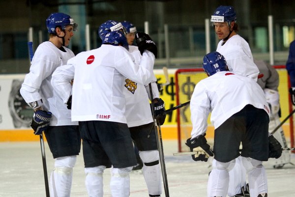 ii_leijonatjokinenolli2014