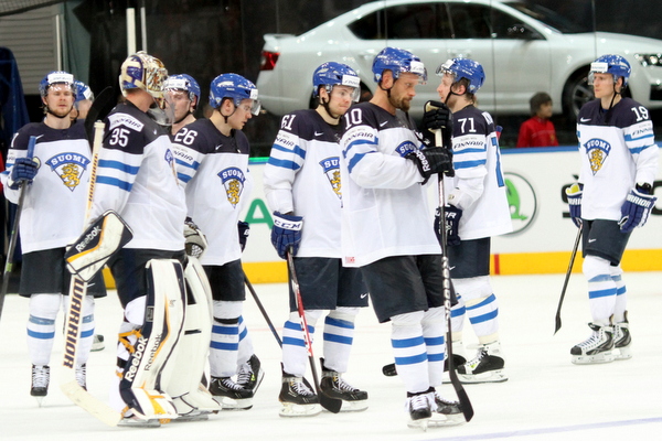 ii_leijonatpettymys2014