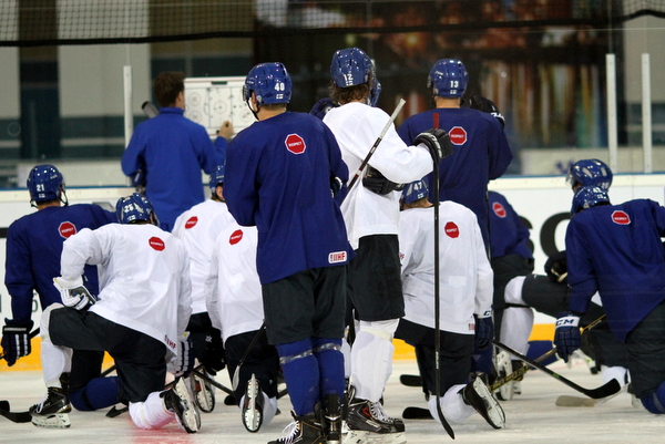 ii_leijonattreeni2014