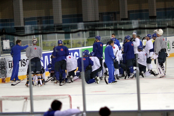 ii_leijonatyleis2014