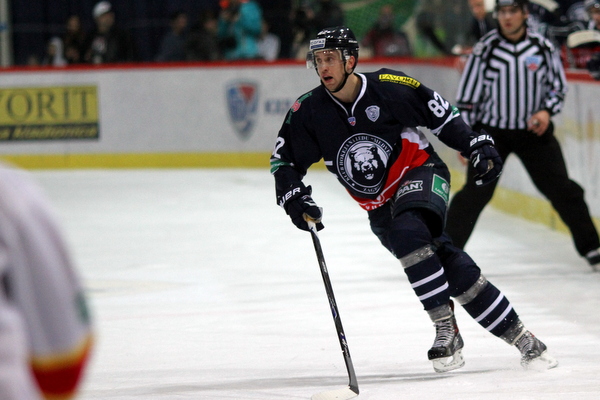 ii_medvescakjokerit2014m