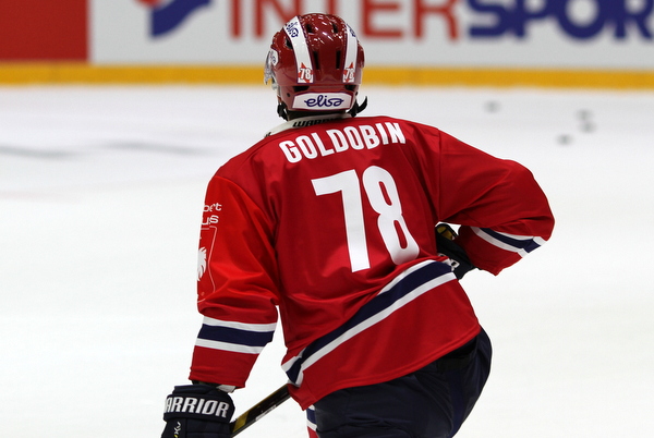 is_goldobinnikolai20141111c