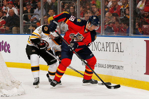 getty_jagrjaromirflorida20150409