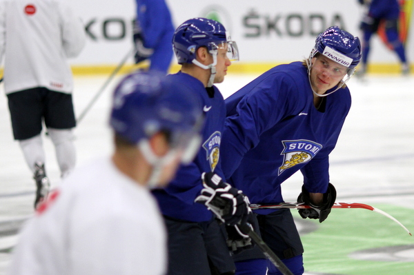 ii_leijonatharjoitukset2015