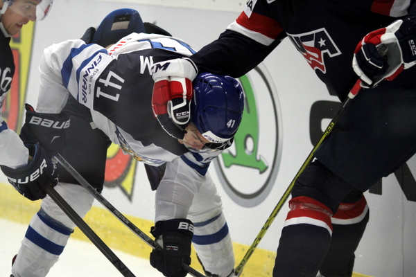 ii_usasuomi2015paini