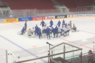 is_leijonat20160511a