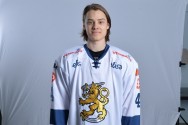 leijonat_ahosebastian20160419