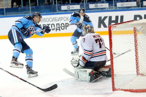 sibir_metsolajuha20170204