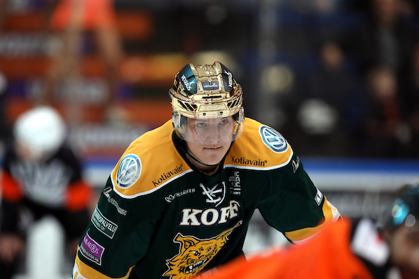 HPK – Ilves