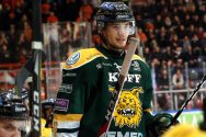 HPK – Ilves