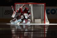 Detroit Red WIngs v Arizona Coyotes