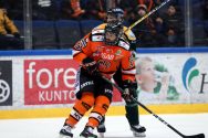 HPK – Ilves
