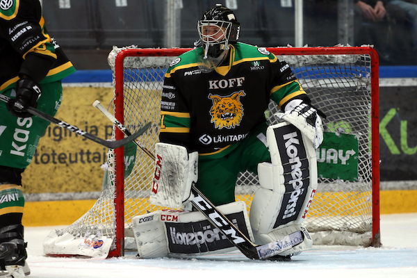 HPK – Ilves