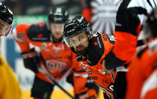 HPK – Pelicans