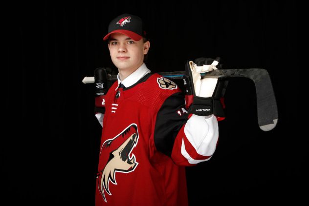 2019 NHL Draft – Portraits